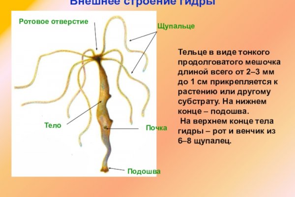 Кракен маркетплейс актуальные ссылки